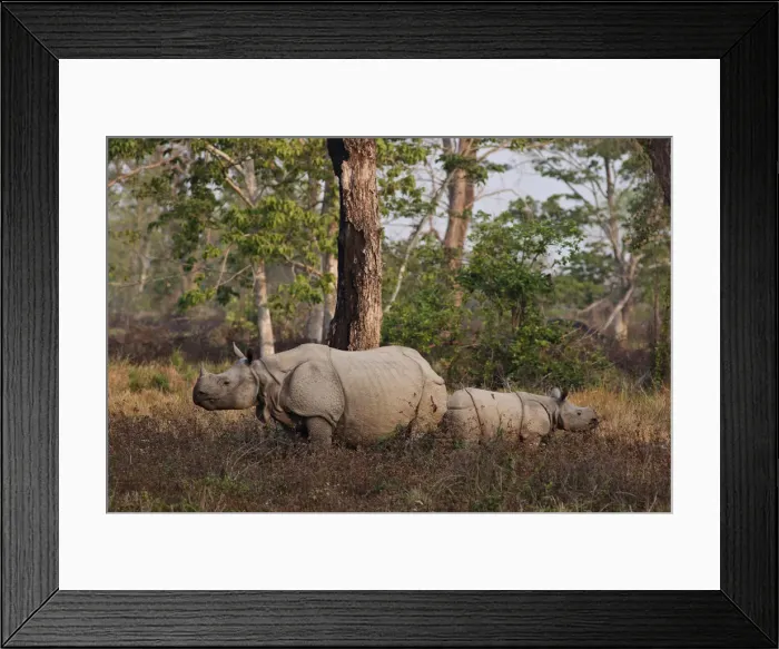 Framed Print : DDE-90024514 Framed Print : DDE-90024514