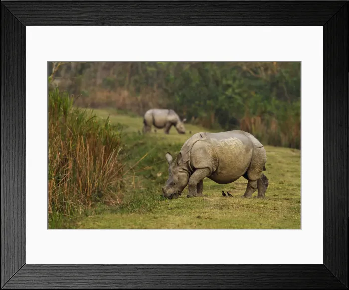 Framed Print : DDE-90024518 Framed Print : DDE-90024518