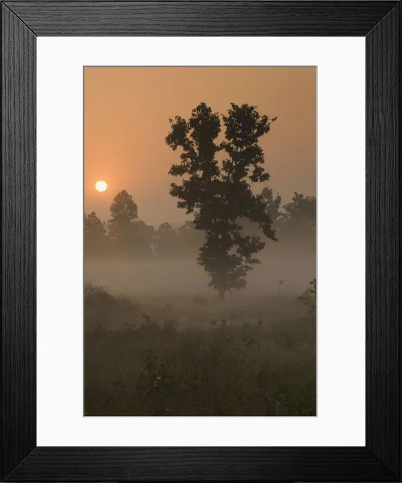 Framed Print : DDE-90024522 Framed Print : DDE-90024522