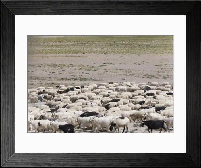 Framed Print : DDE-90024533 Framed Print : DDE-90024533