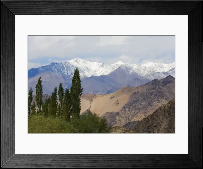 Framed Print : DDE-90024538 Framed Print : DDE-90024538
