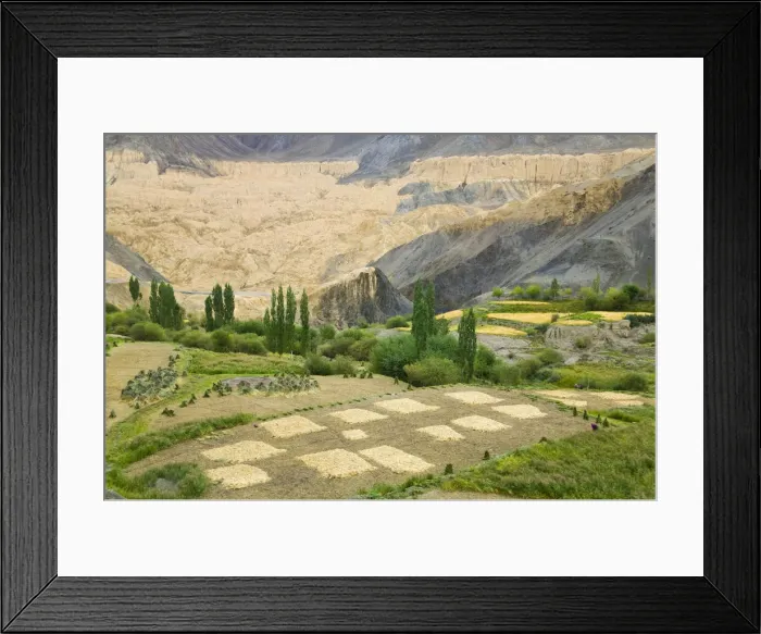 Framed Print : DDE-90024542 Framed Print : DDE-90024542