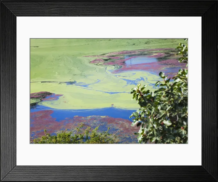 Framed Print : DDE-90024543 Framed Print : DDE-90024543