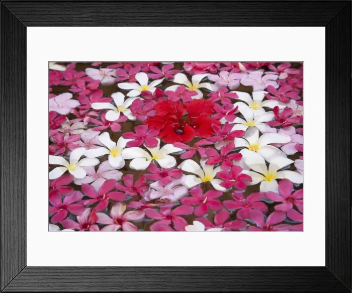 Framed Print : DDE-90024544