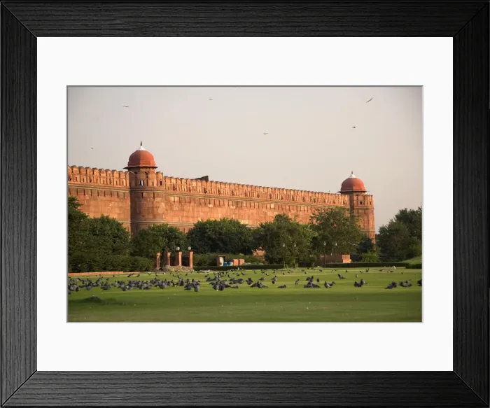 Framed Print : DDE-90024547 Framed Print : DDE-90024547