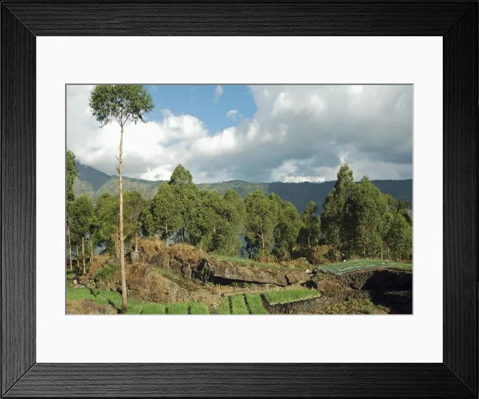 Framed Print : DDE-90024559 Framed Print : DDE-90024559