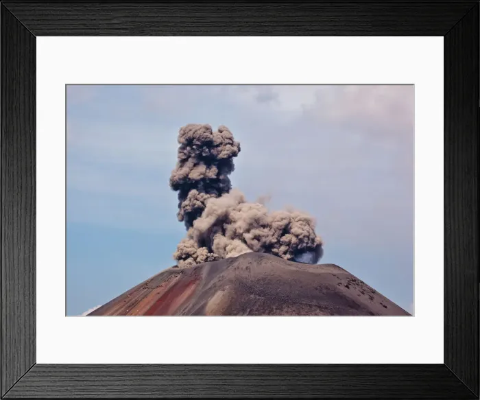 Framed Print : DDE-90024567 Framed Print : DDE-90024567