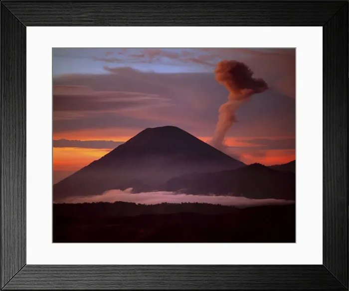 Framed Print : DDE-90024569