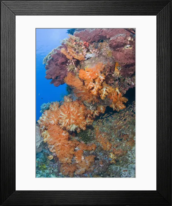 Framed Print : DDE-90024578 Framed Print : DDE-90024578
