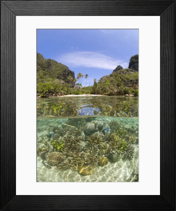 Framed Print : DDE-90024587 Framed Print : DDE-90024587
