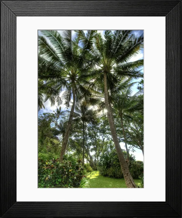 Framed Print : DDE-90024646 Framed Print : DDE-90024646