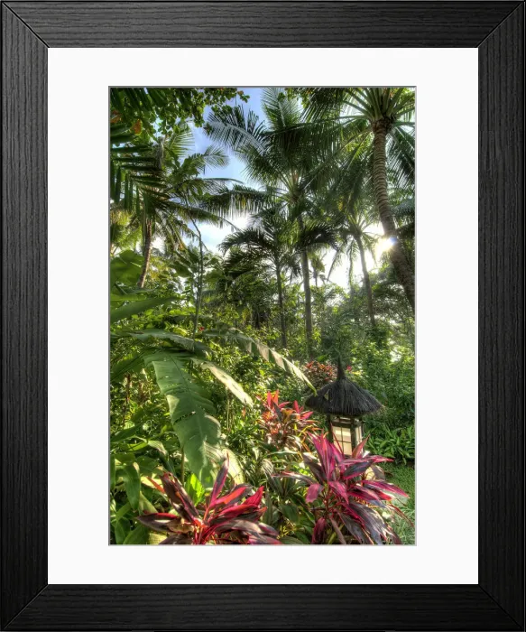 Framed Print : DDE-90024647 Framed Print : DDE-90024647