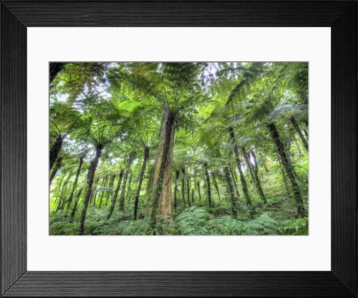 Framed Print : DDE-90024650 Framed Print : DDE-90024650