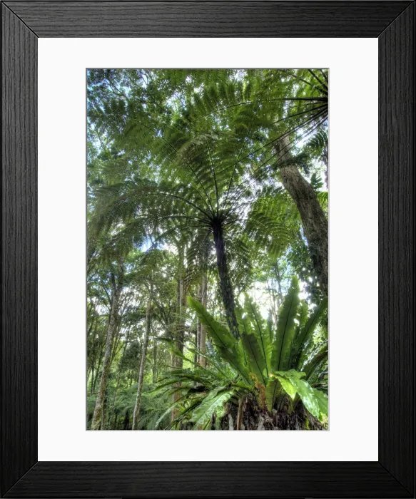 Framed Print : DDE-90024651 Framed Print : DDE-90024651