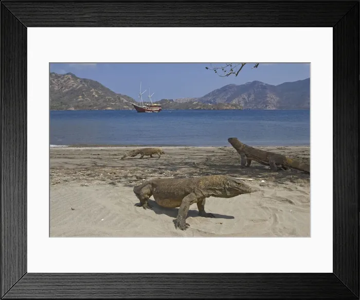 Framed Print : DDE-90024655 Framed Print : DDE-90024655