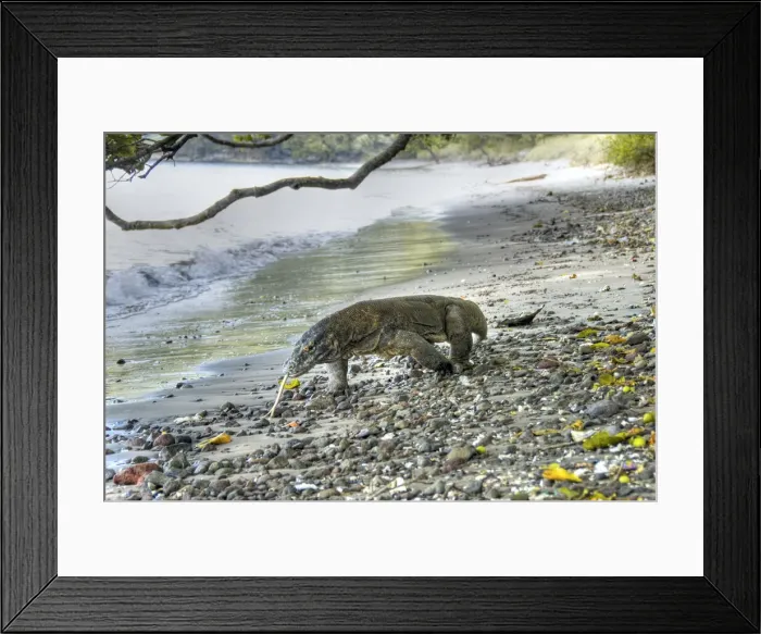 Framed Print : DDE-90024665