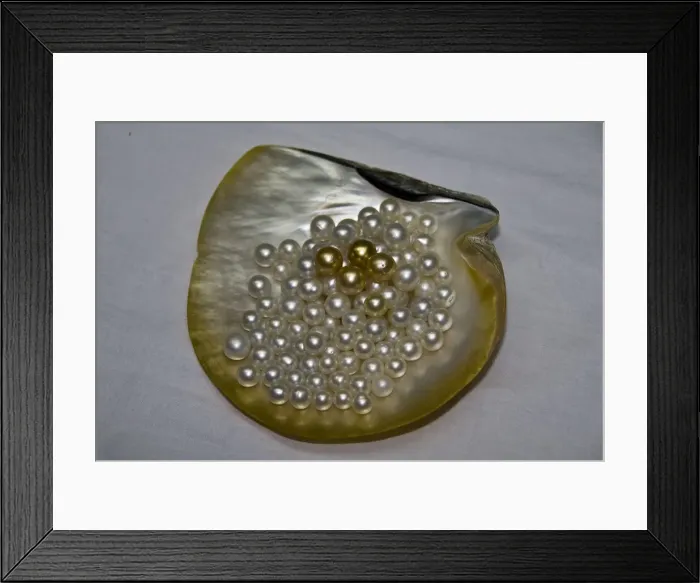 Framed Print : DDE-90024671