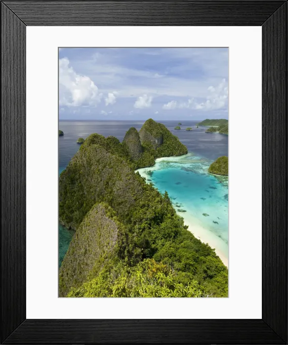 Framed Print : DDE-90024685 Framed Print : DDE-90024685