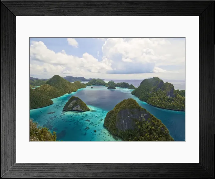 Framed Print : DDE-90024686 Framed Print : DDE-90024686