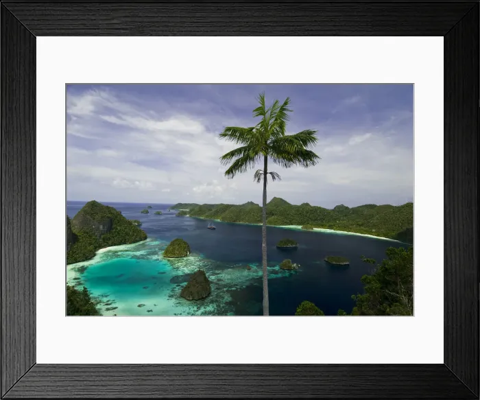 Framed Print : DDE-90024687 Framed Print : DDE-90024687