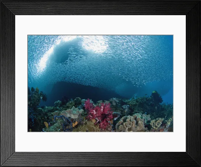 Framed Print : DDE-90024688