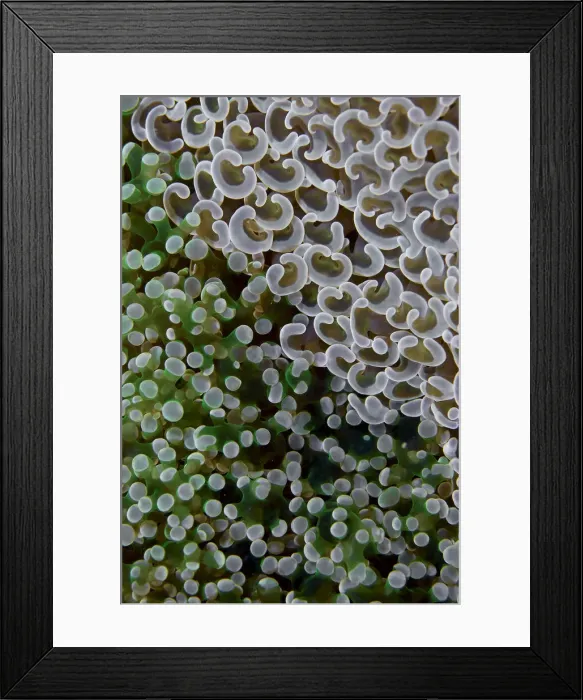 Framed Print : DDE-90024695