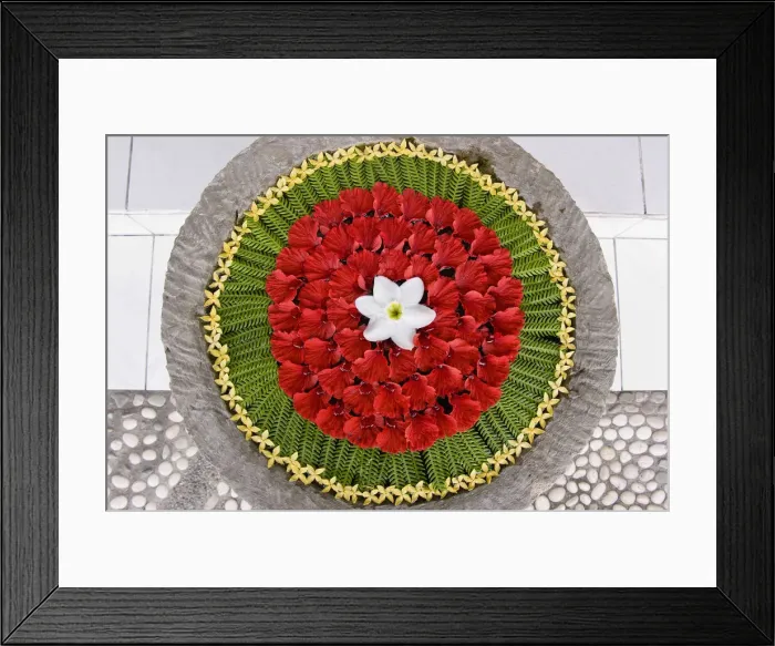 Framed Print : DDE-90024794 Framed Print : DDE-90024794