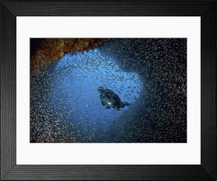 Framed Print : DDE-90024809 Framed Print : DDE-90024809