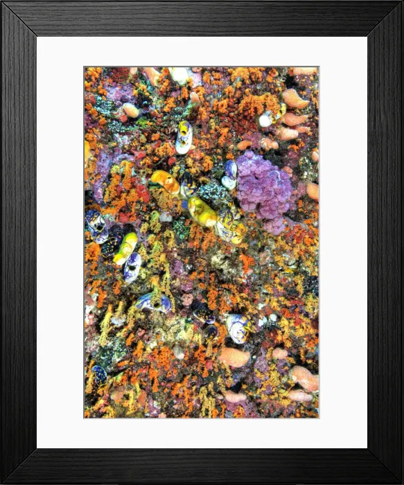Framed Print : DDE-90024842 Framed Print : DDE-90024842