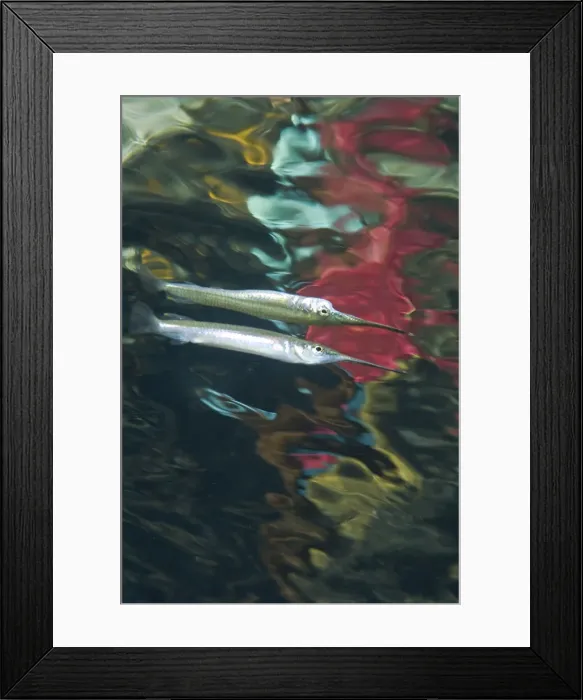 Framed Print : DDE-90024858