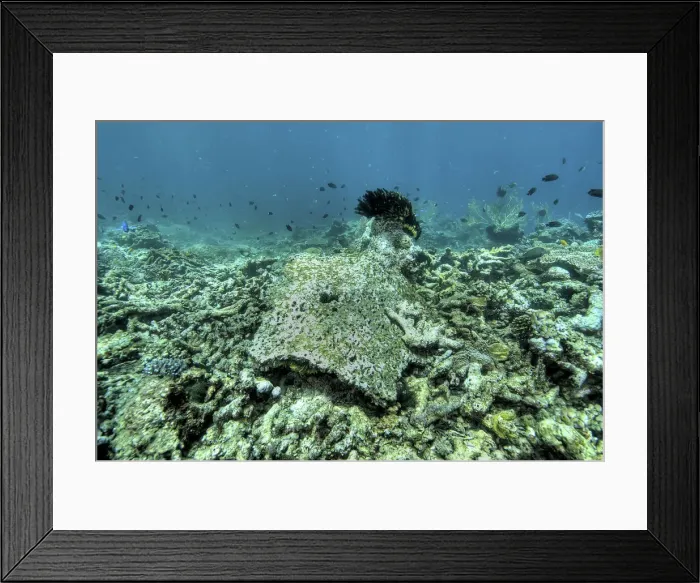 Framed Print : DDE-90024865 Framed Print : DDE-90024865