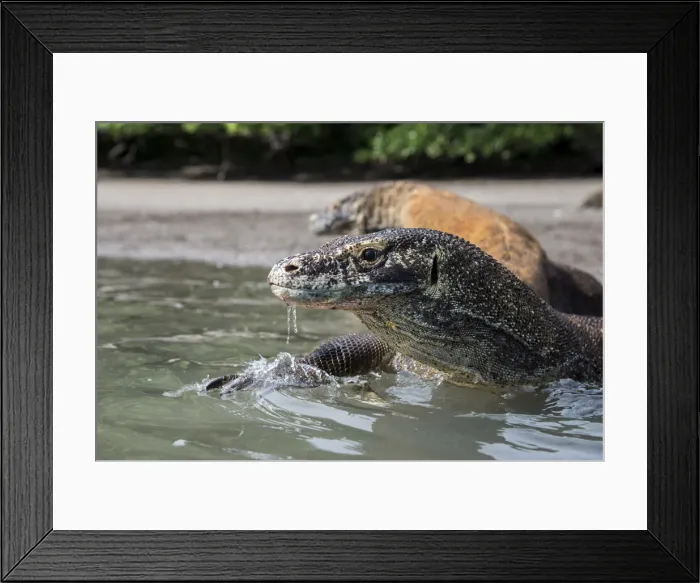 Framed Print : DDE-90024902 Framed Print : DDE-90024902