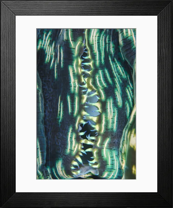 Framed Print : DDE-90024932 Framed Print : DDE-90024932