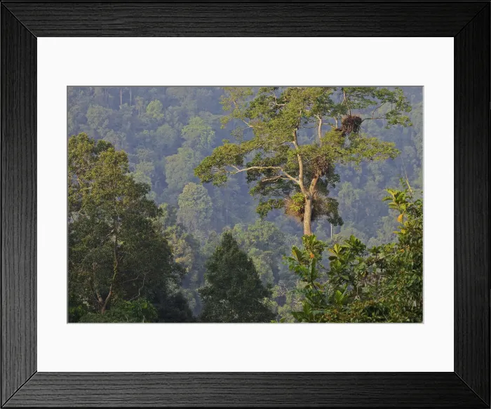 Framed Print : DDE-90024934 Framed Print : DDE-90024934