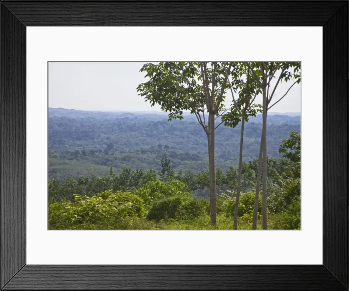 Framed Print : DDE-90024937 Framed Print : DDE-90024937