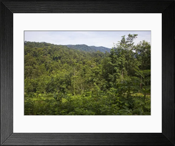 Framed Print : DDE-90024938 Framed Print : DDE-90024938