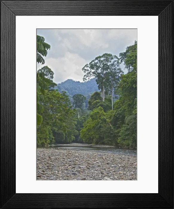 Framed Print : DDE-90024939 Framed Print : DDE-90024939
