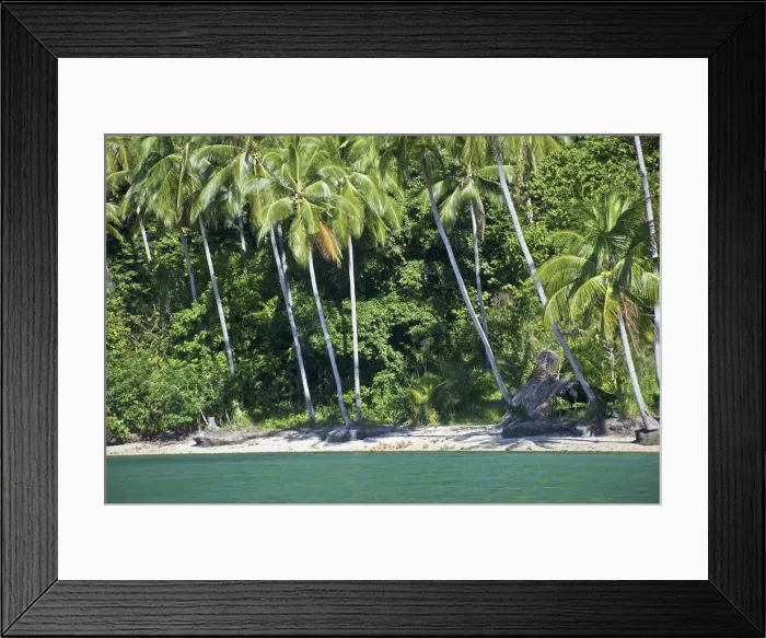 Framed Print : DDE-90024941 Framed Print : DDE-90024941