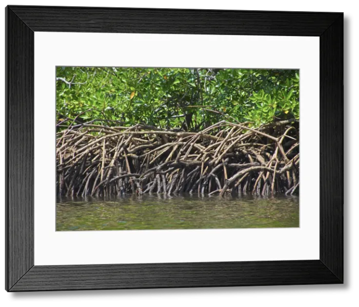 Framed Print : DDE-90024942 Framed Print : DDE-90024942