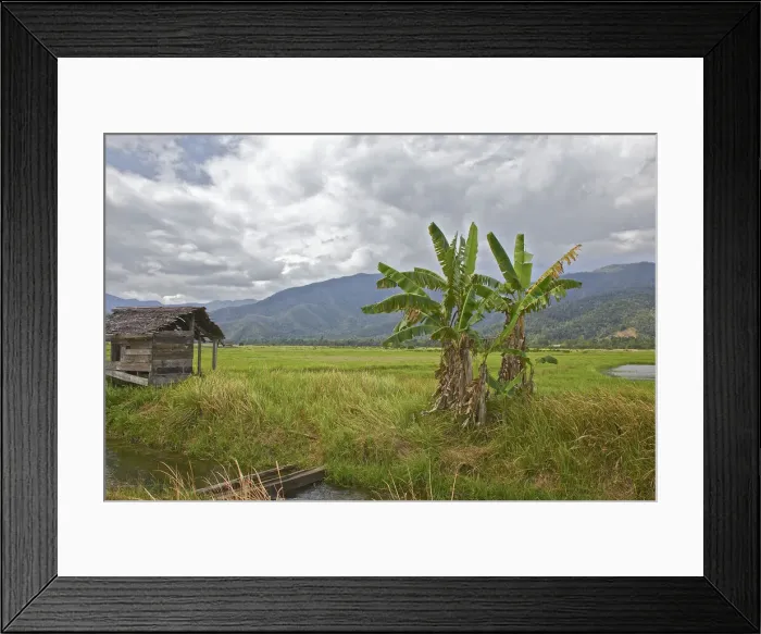 Framed Print : DDE-90024943 Framed Print : DDE-90024943