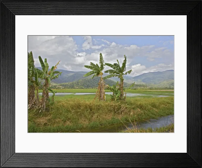 Framed Print : DDE-90024944