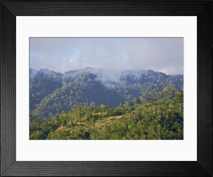Framed Print : DDE-90024946 Framed Print : DDE-90024946