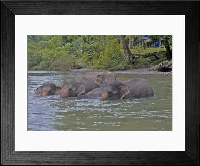 Framed Print : DDE-90024947 Framed Print : DDE-90024947