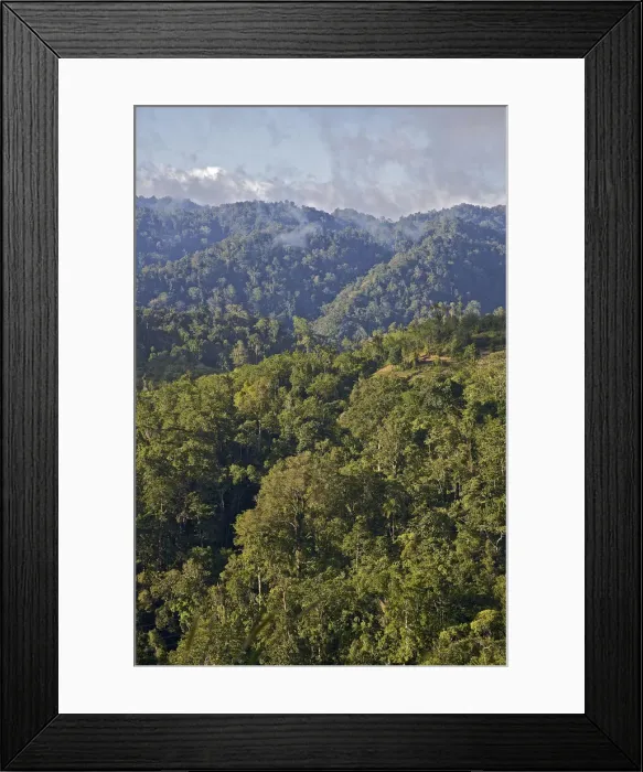 Framed Print : DDE-90024949 Framed Print : DDE-90024949