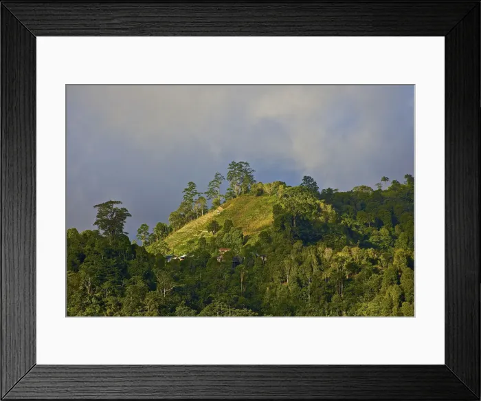 Framed Print : DDE-90024950
