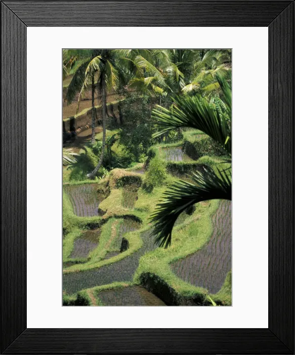 Framed Print : DDE-90024953 Framed Print : DDE-90024953