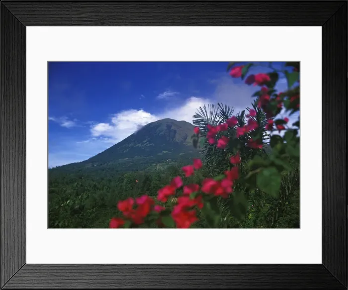 Framed Print : DDE-90024954 Framed Print : DDE-90024954
