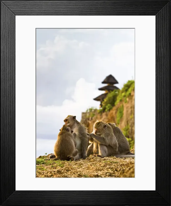 Framed Print : DDE-90024956 Framed Print : DDE-90024956