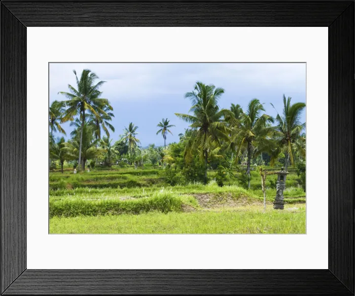 Framed Print : DDE-90024957 Framed Print : DDE-90024957