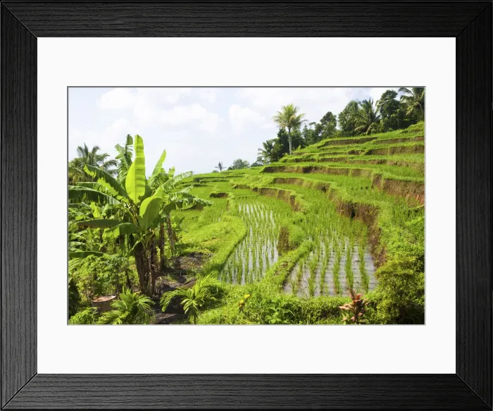 Framed Print : DDE-90024958 Framed Print : DDE-90024958